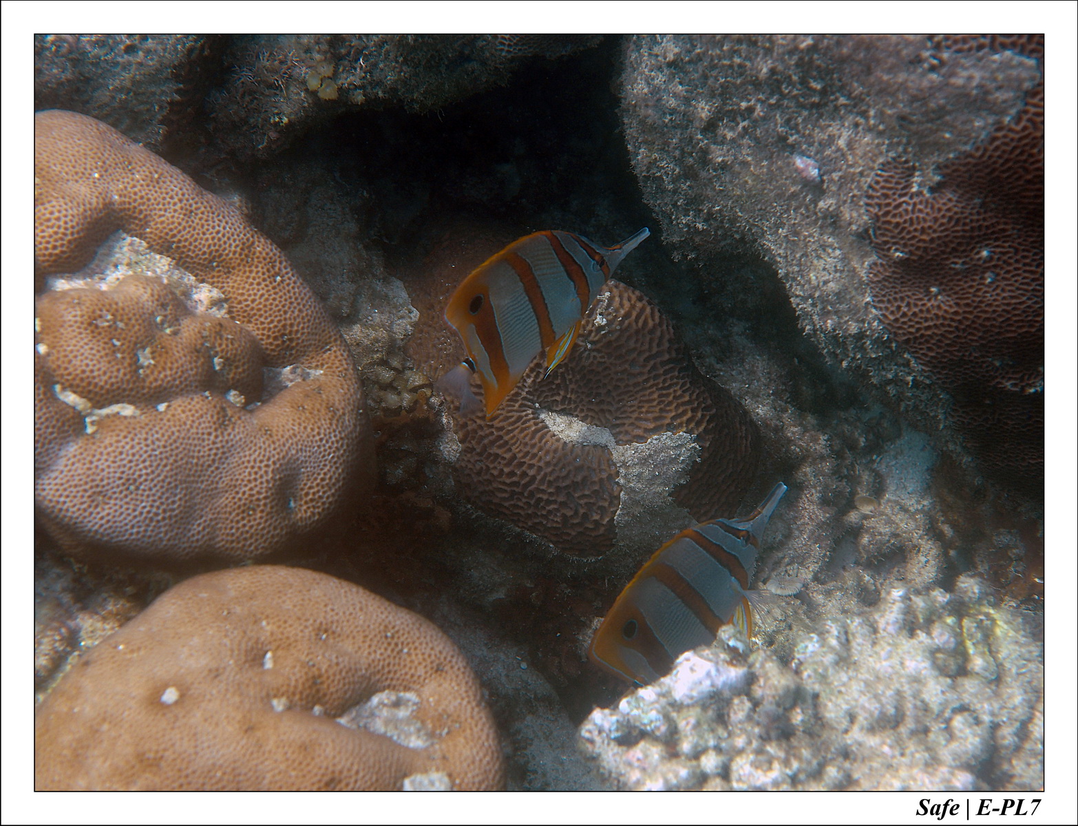 2018 - 08 - Pulau Tinggi - 14